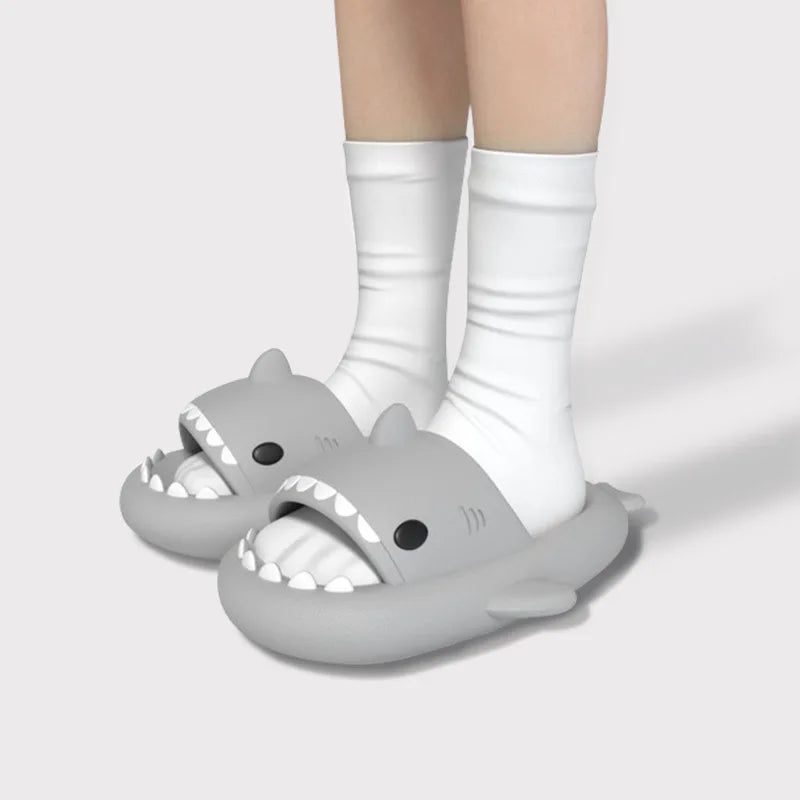 Shark Slippers