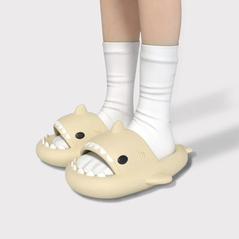 Shark Slippers